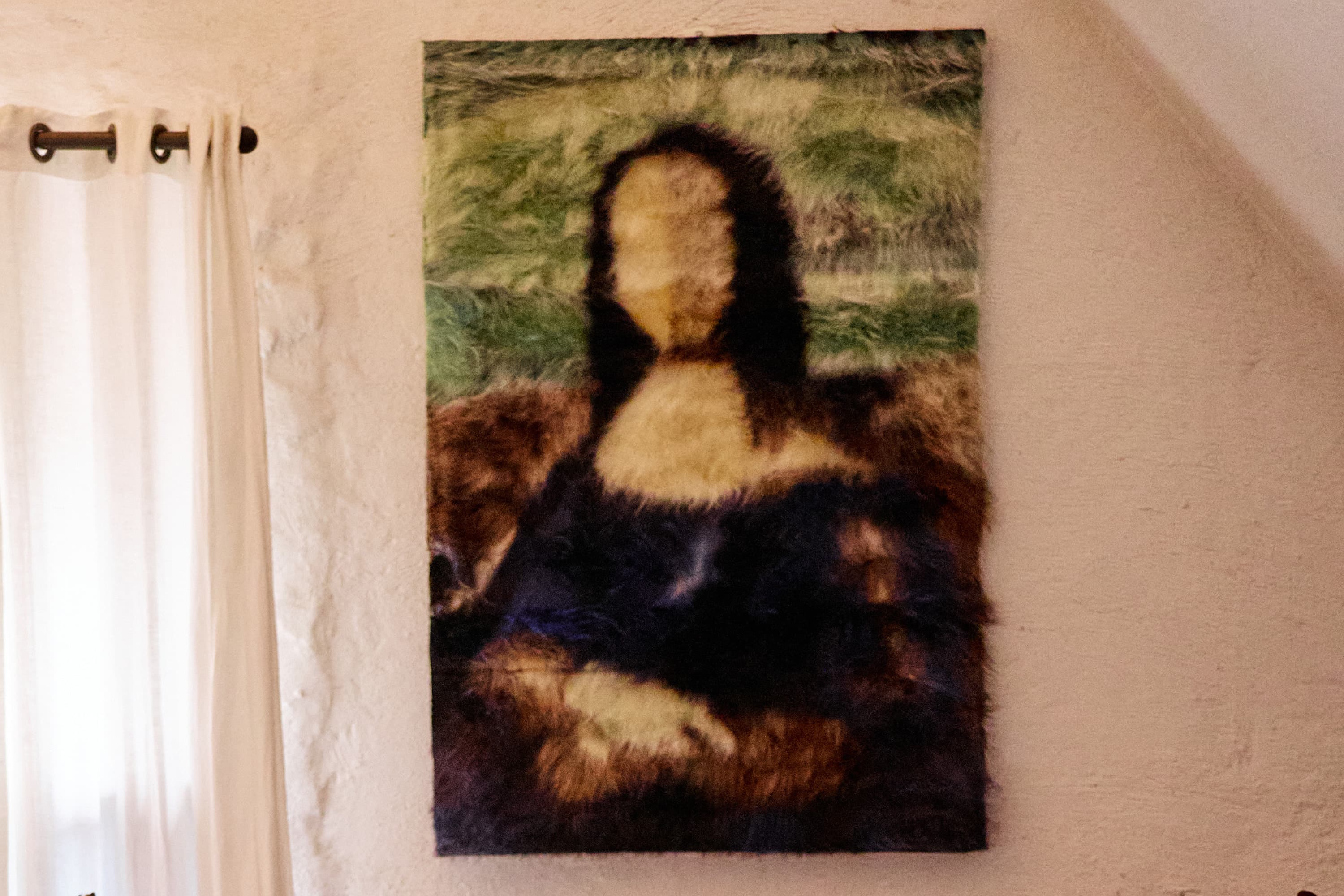 Bilde - Fluffy Mona Lisa